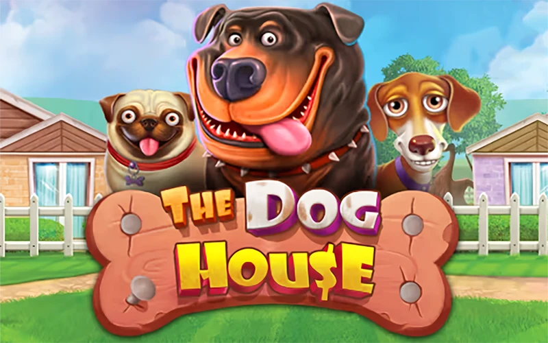 Enjoy the fun The Dog House game at official BC Game.