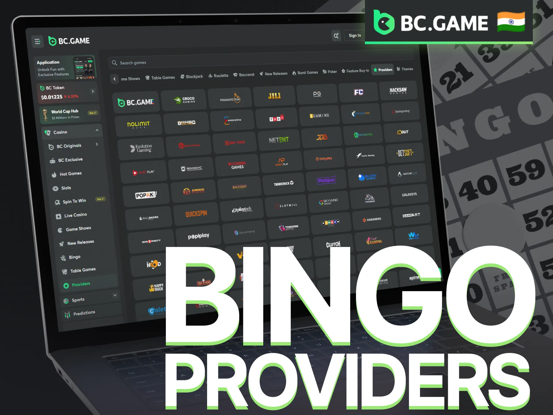 Explore trusted bingo providers featured in the BC Game casino.