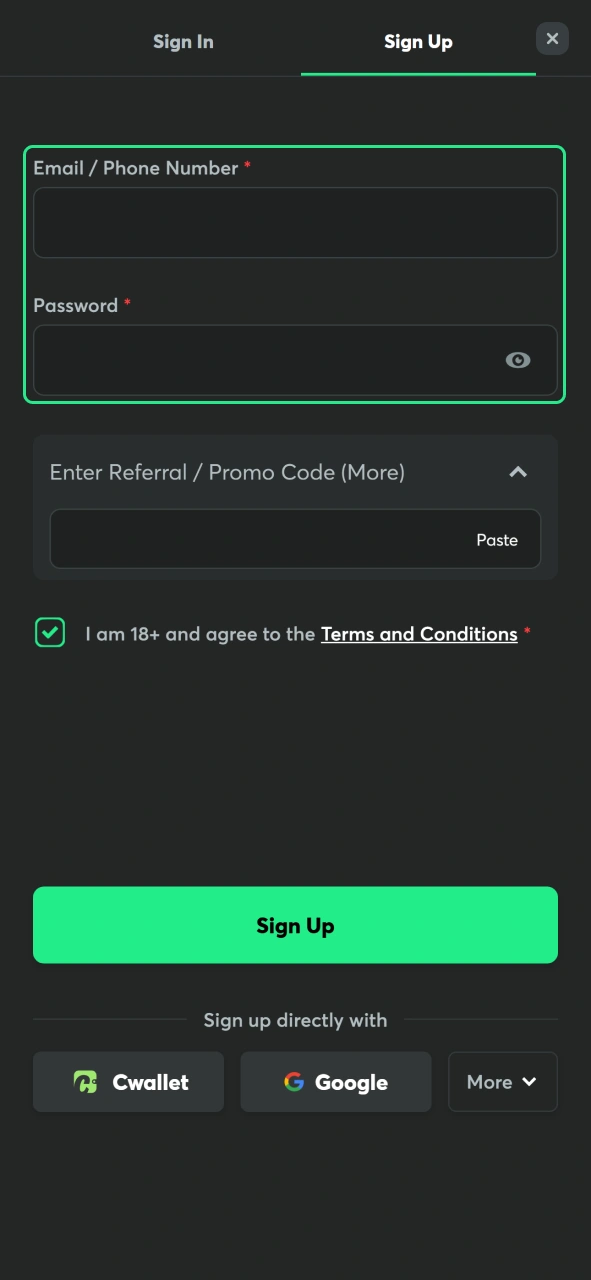 Enter your account information accurately during BC Game registration.