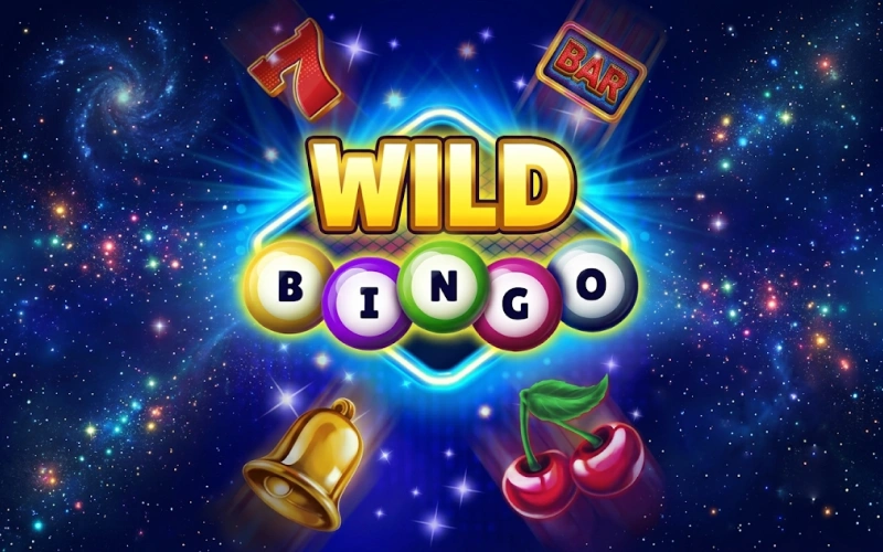 Play Wild Bingo and discover entertaining features on BC Game.